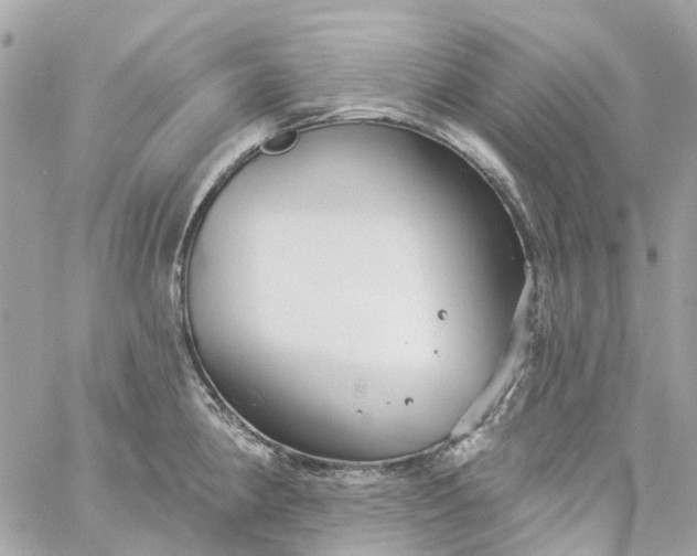 X0000059241190200510281923