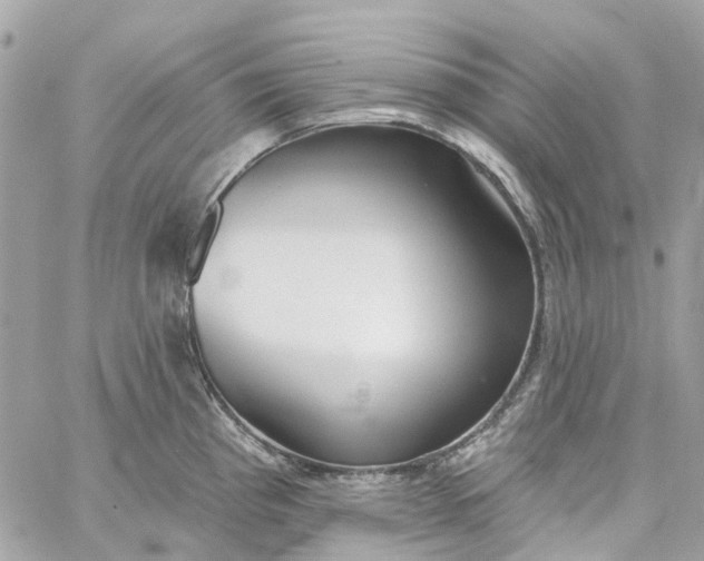 X0000059241193200510281923