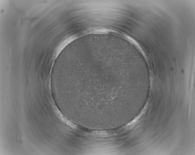 X0000059241194200510281923