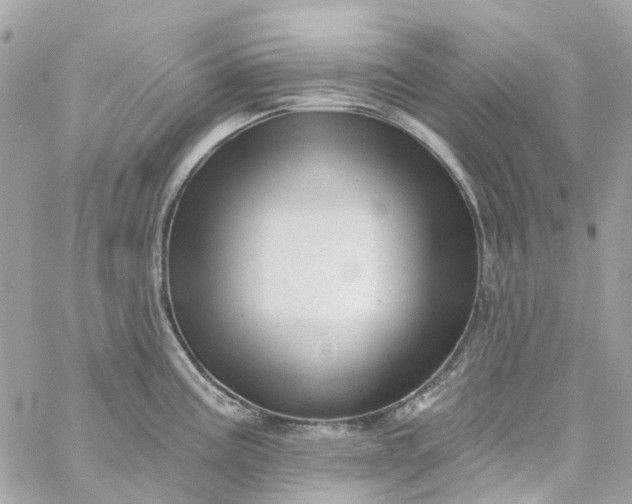 X0000059241195200510281923