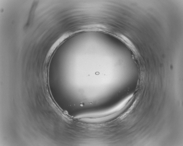 X0000059241196200510281923