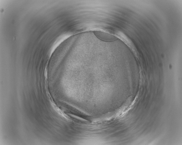 X0000059241198200510281923