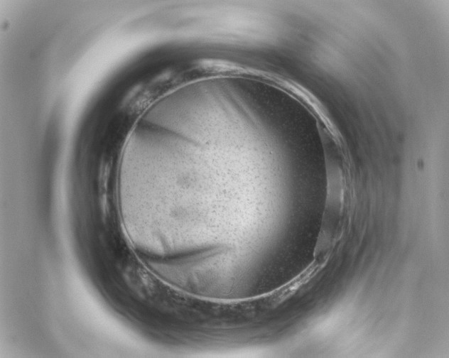 X0000059241199200510281923