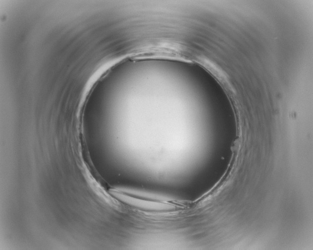 X0000059241200200510281923