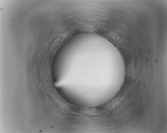 X0000059241201200510281922