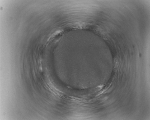 X0000059241202200510281922