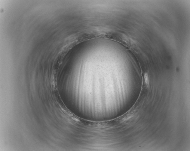 X0000059241203200510281922