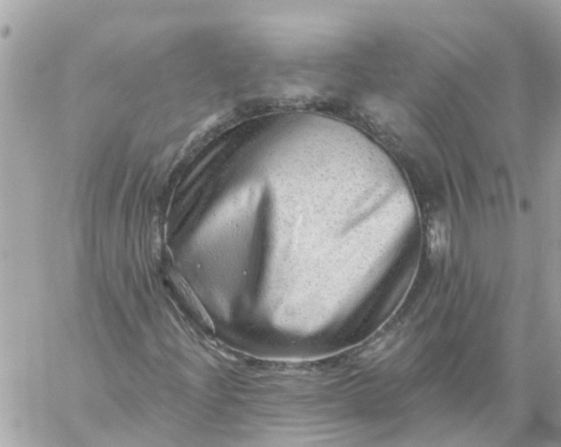 X0000059241204200510281922