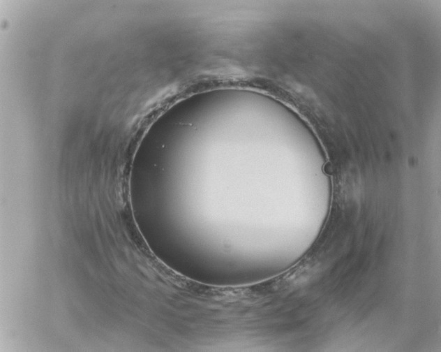 X0000059241205200510281922