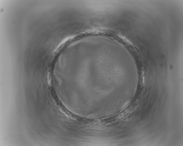 X0000059241206200510281922