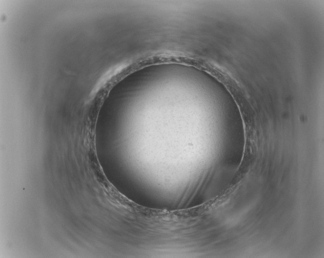 X0000059241207200510281922