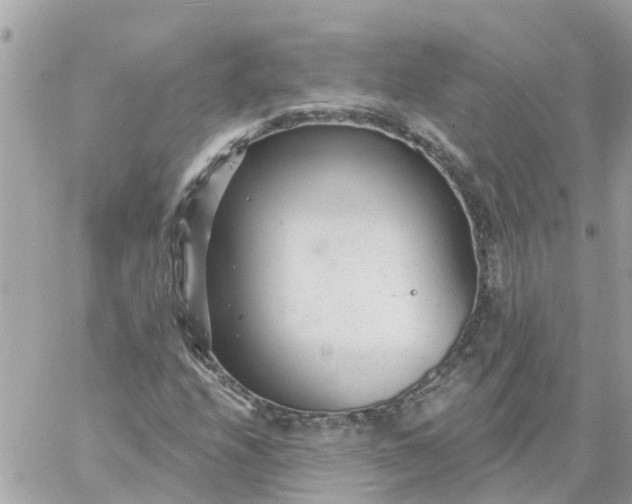 X0000059241208200510281922