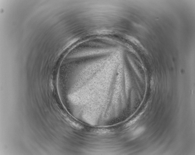 X0000059241209200510281922