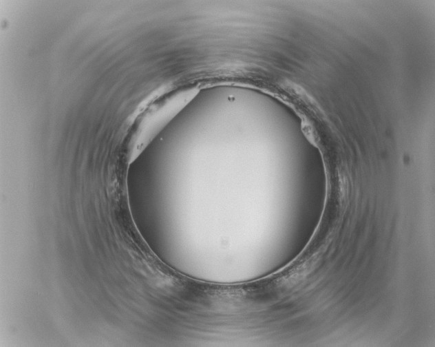 X0000059241210200510281922