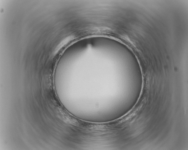 X0000059241211200510281922