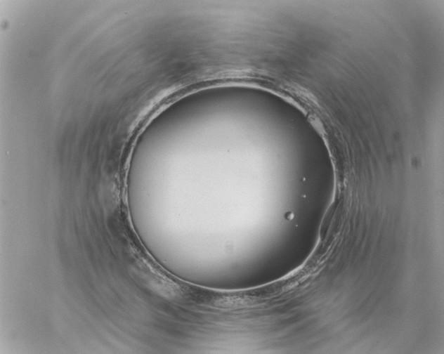 X0000059241212200510281922