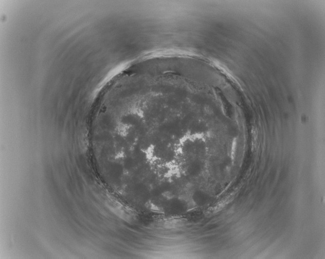 X0000059241213200510281922