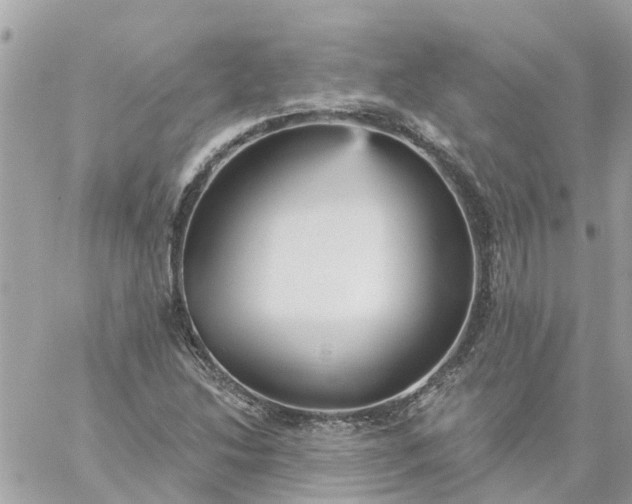 X0000059241214200510281922