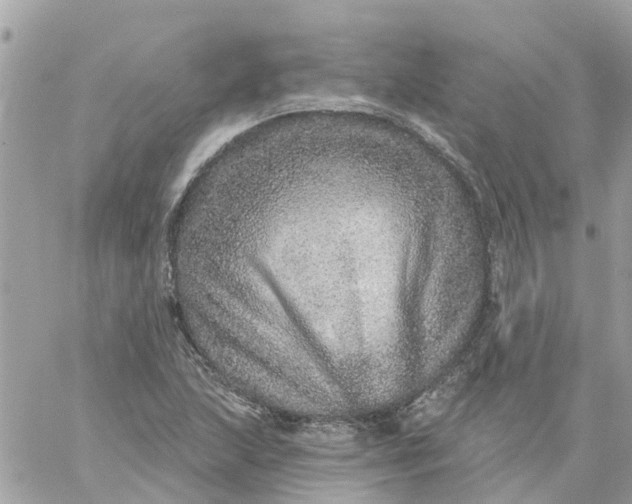 X0000059241215200510281922