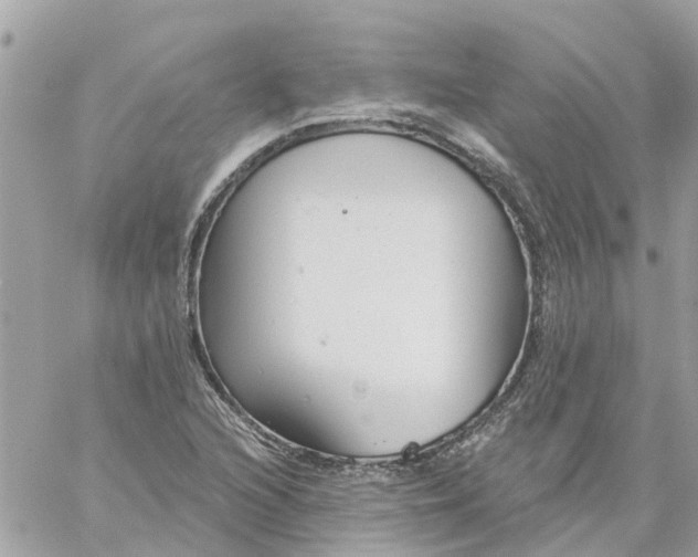 X0000059241216200510281922