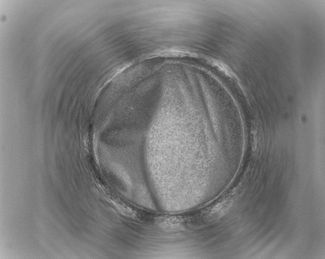 X0000059241217200510281922