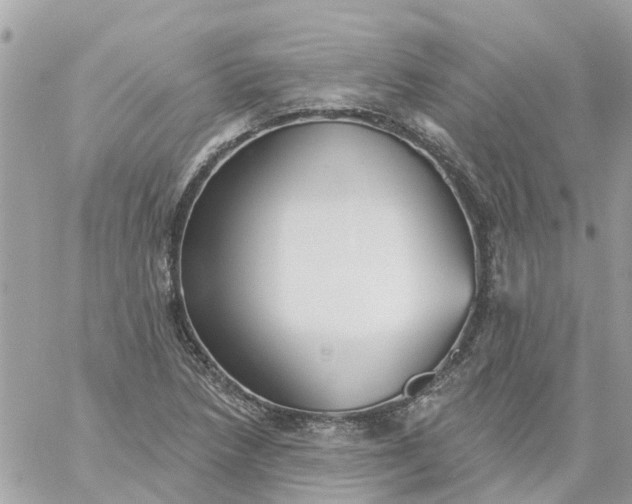 X0000059241218200510281922