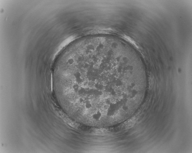 X0000059241219200510281922