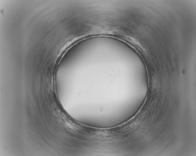 X0000059241220200510281922