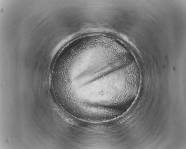 X0000059241221200510281922