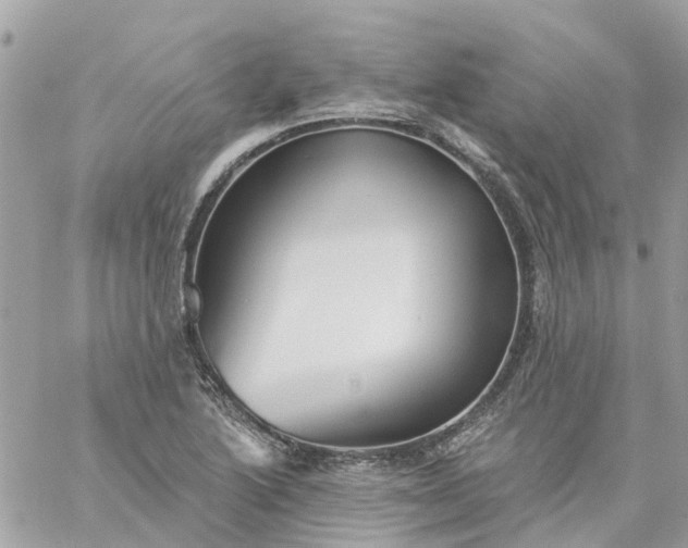 X0000059241222200510281922