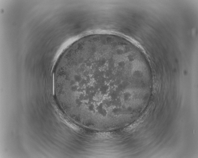 X0000059241223200510281922