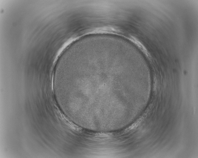 X0000059241224200510281922