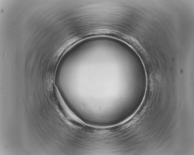 X0000059241225200510281922