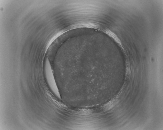 X0000059241226200510281922