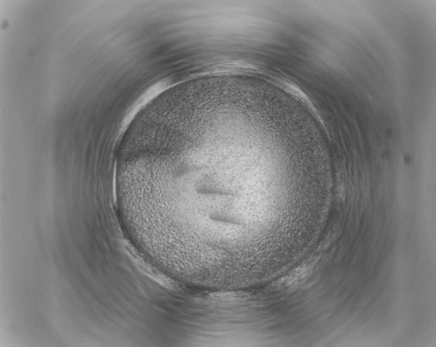 X0000059241227200510281922