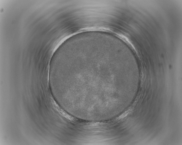 X0000059241228200510281922