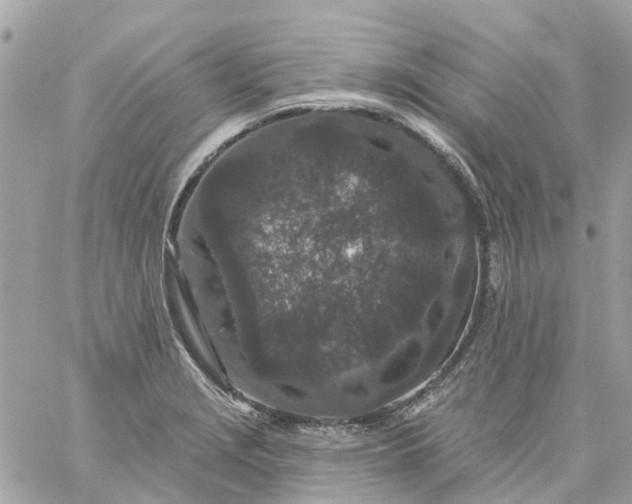 X0000059241229200510281922