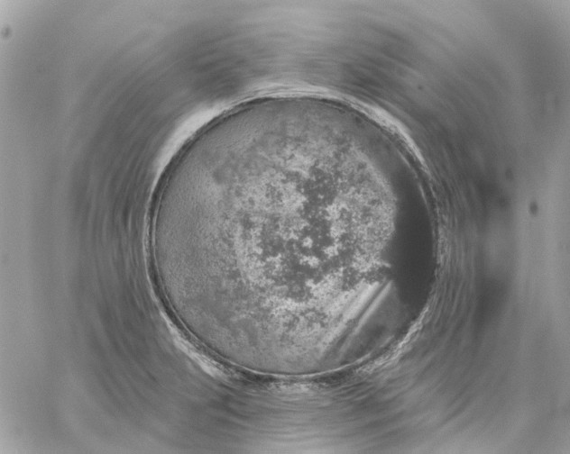 X0000059241231200510281922