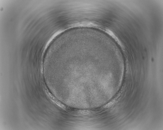 X0000059241232200510281922