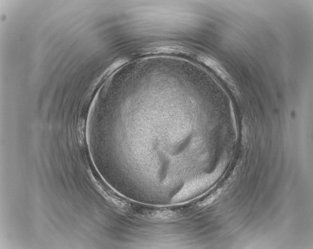 X0000059241233200510281922