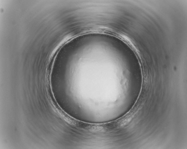 X0000059241235200510281922