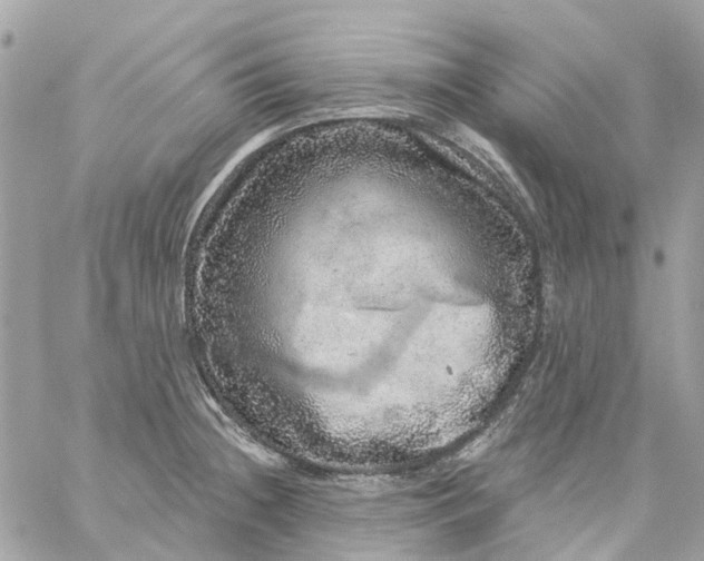 X0000059241236200510281922