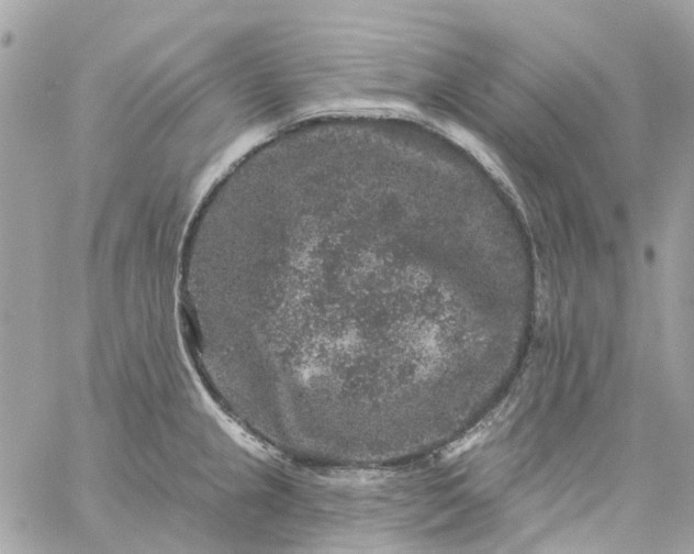 X0000059241237200510281922