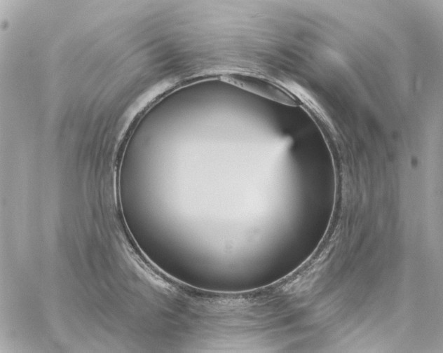 X0000059241238200510281922