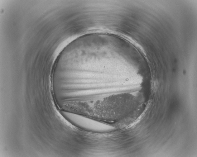 X0000059241239200510281922