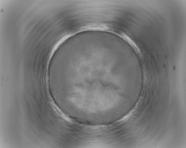 X0000059241240200510281922