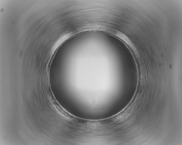 X0000059241242200510281922