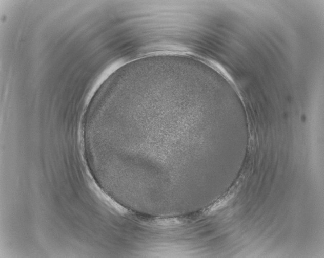 X0000059241243200510281922