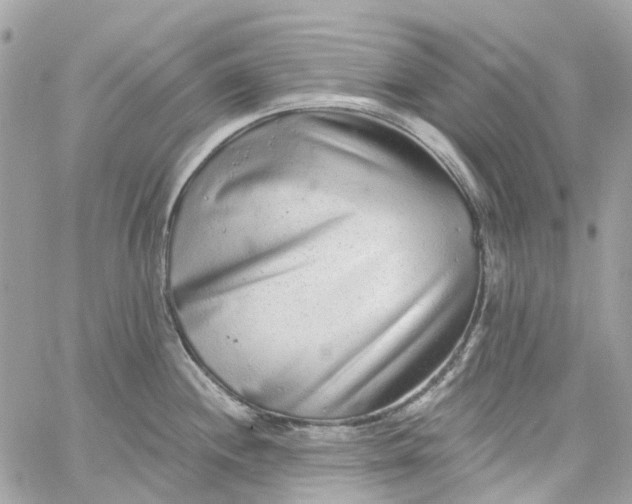 X0000059241244200510281922