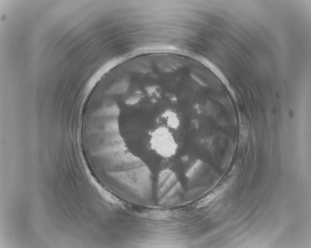 X0000059241245200510281923